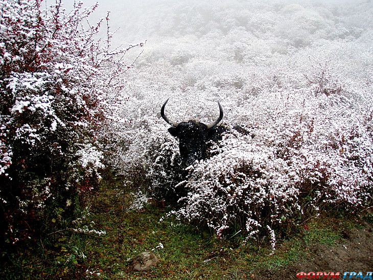 форум туристов