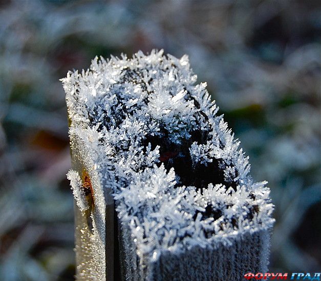 форум туристов