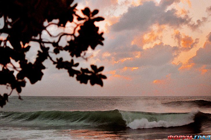 форум туристов