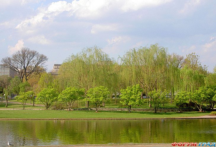 форум туристов