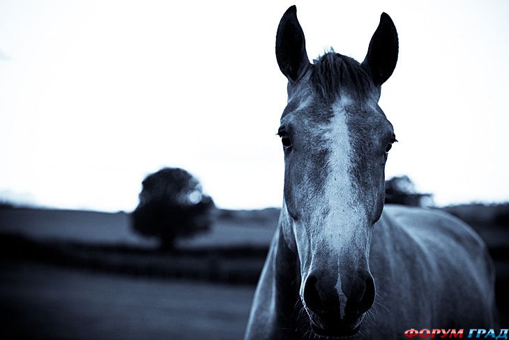 форум туристов