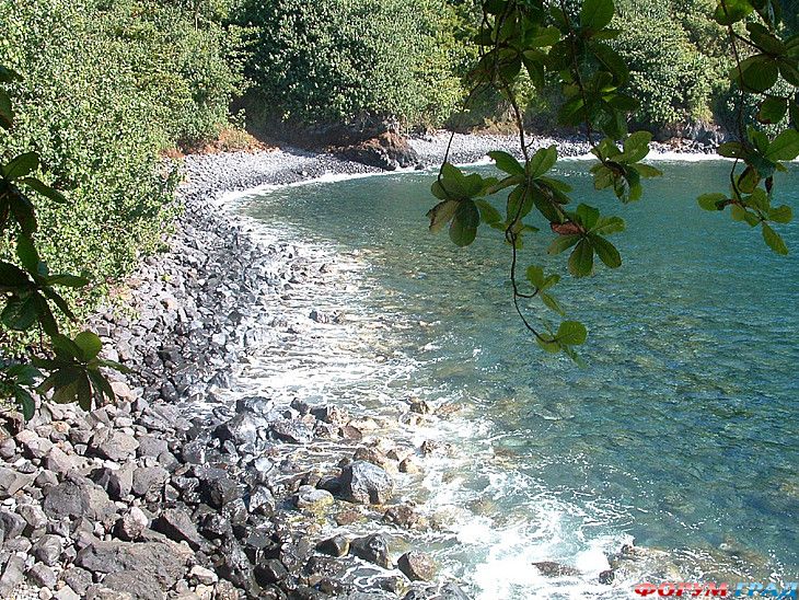 форум туристов