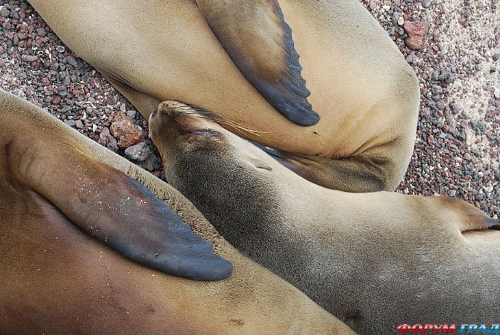 форум туристов