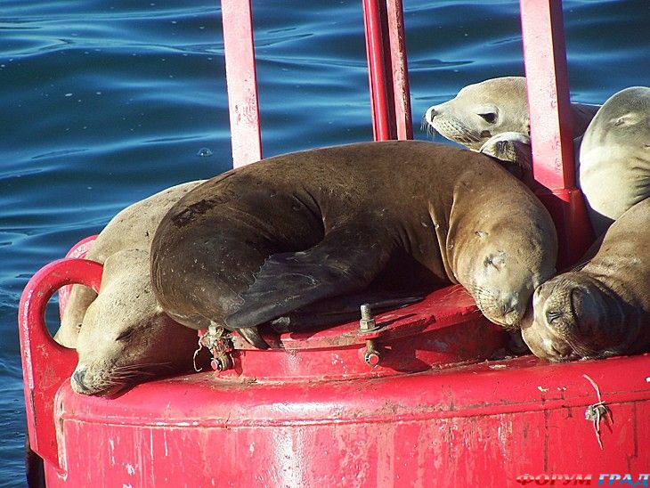 форум туристов