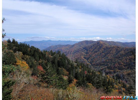 форум туристов