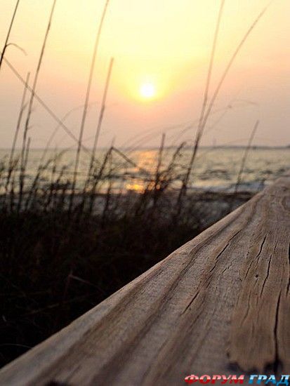 форум туристов