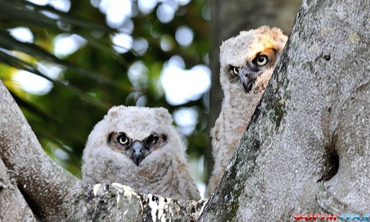 форум туристов