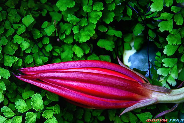 форум туристов