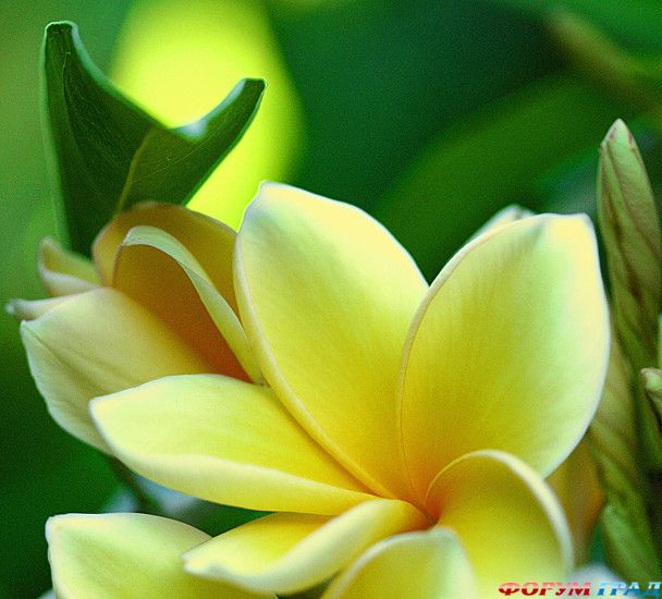 форум туристов