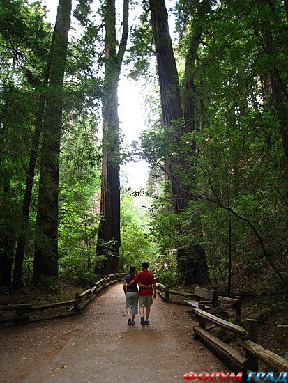 форум туристов