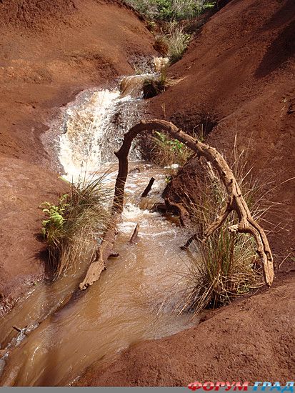 форум туристов