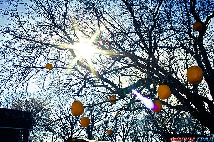 форум туристов