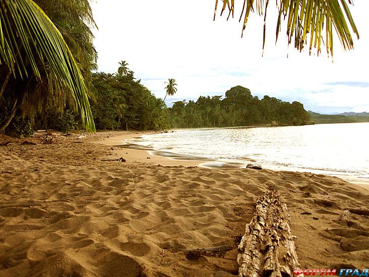 форум туристов