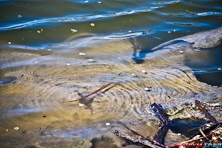 форум туристов