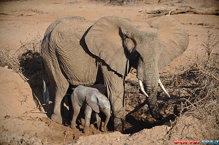 форум туристов