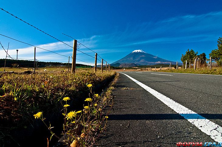 форум туристов