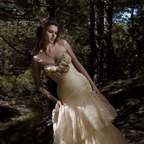 Коллекция Лесные грезы