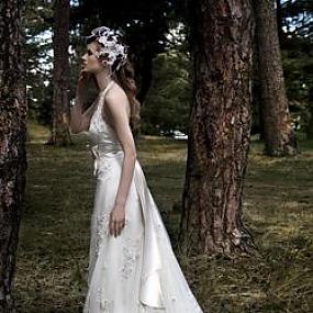 Коллекция Лесные грезы