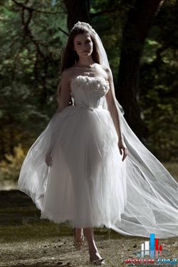 Коллекция Лесные грезы