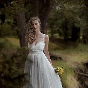 Коллекция Лесные грезы