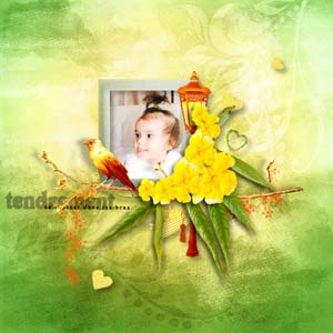 Скрап наборы Лето