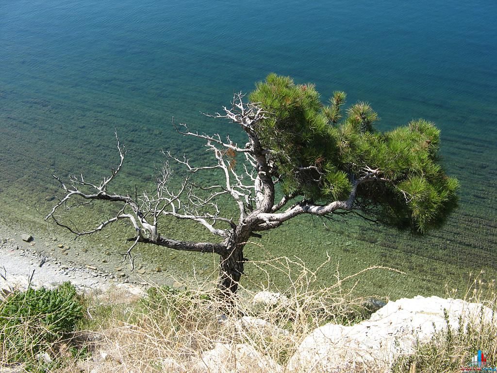 Краснодарский край 2009