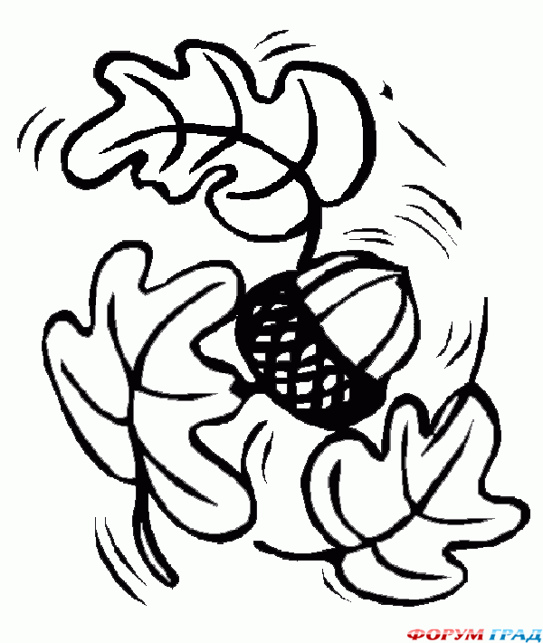 Желуди для ночнушки