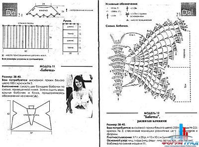Топ бабочка