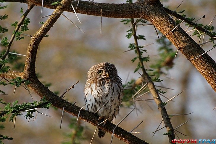 Путешествие с детьми