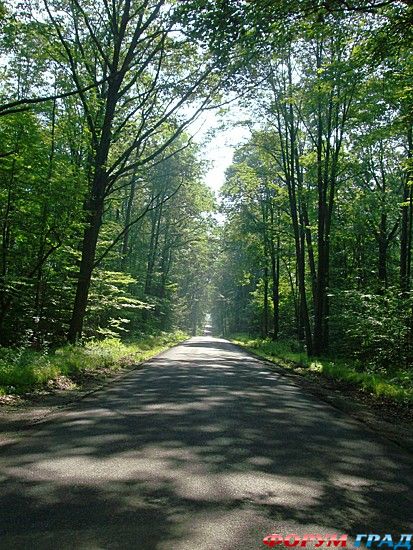 Путешествие с детьми