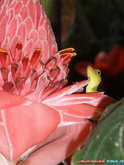 Путешествие с детьми