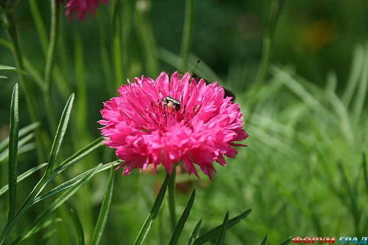 Путешествие с детьми