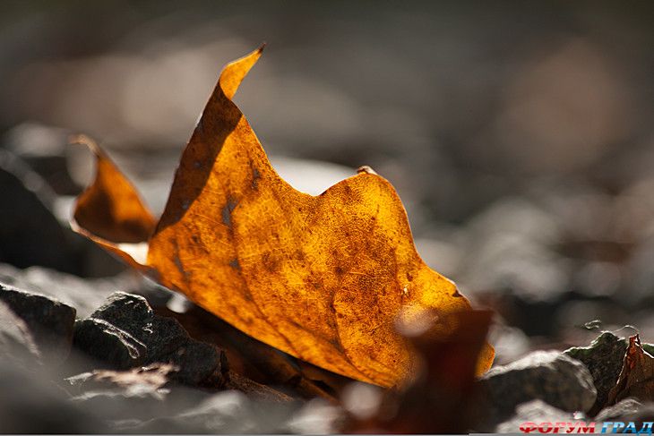 Путешествие с детьми