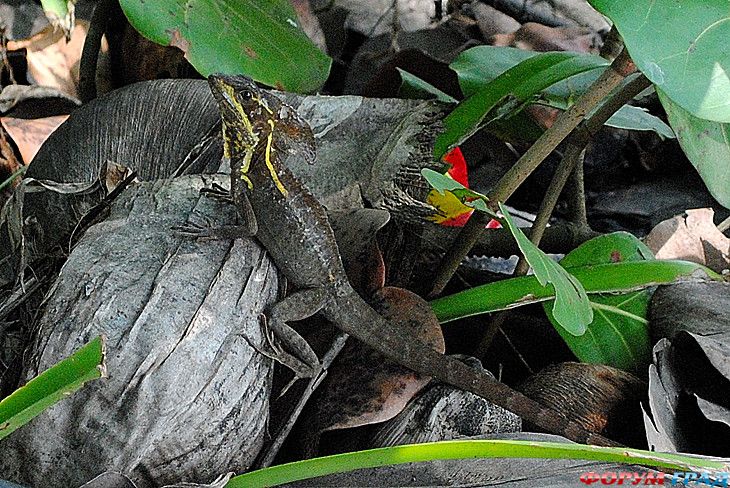 Путешествие с детьми