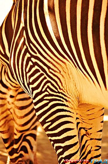 Путешествие с детьми