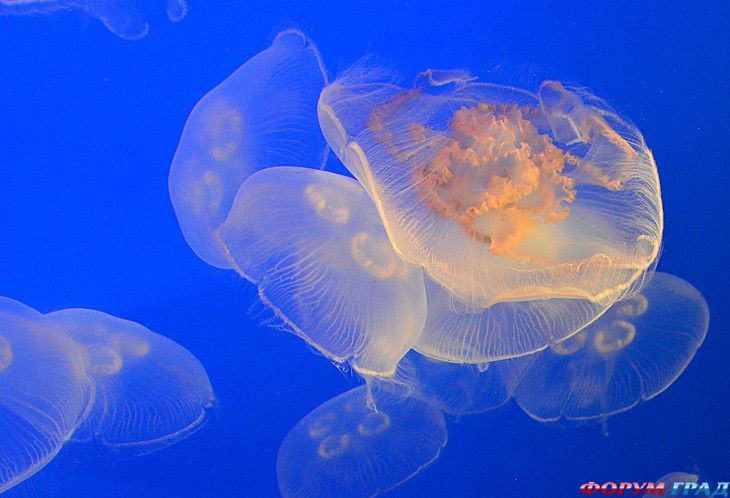 Путешествие с детьми