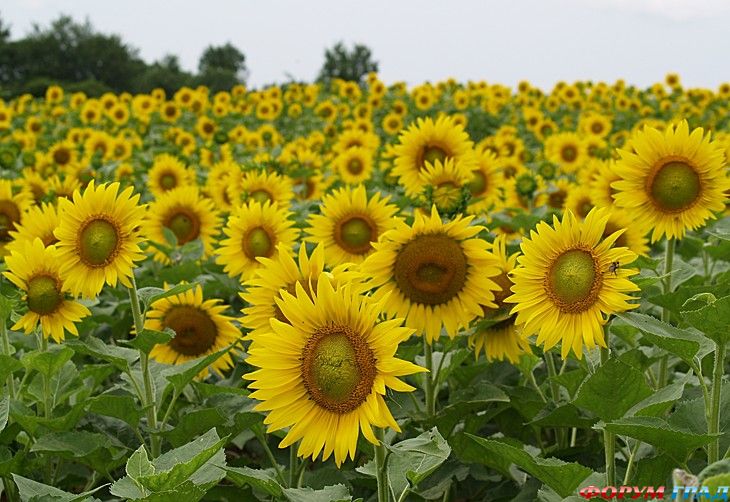 Путешествие с детьми