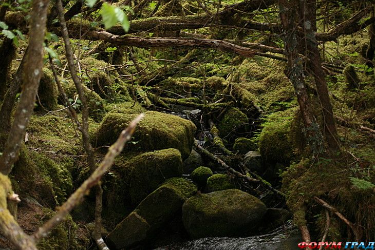 Путешествие с детьми
