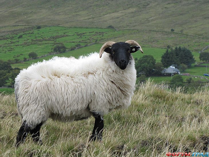 Путешествие с детьми