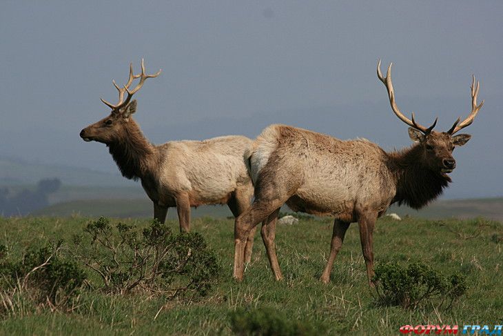 Путешествие с детьми