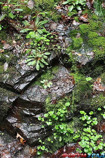 Путешествие с детьми