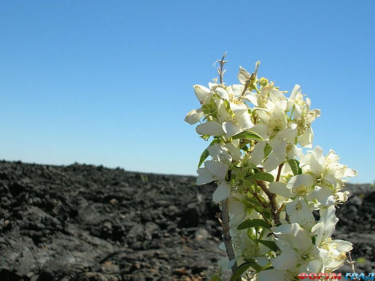 Путешествие с детьми
