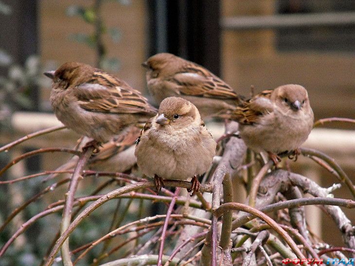 Путешествие с детьми