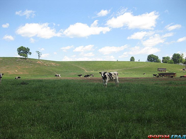 Путешествие с детьми