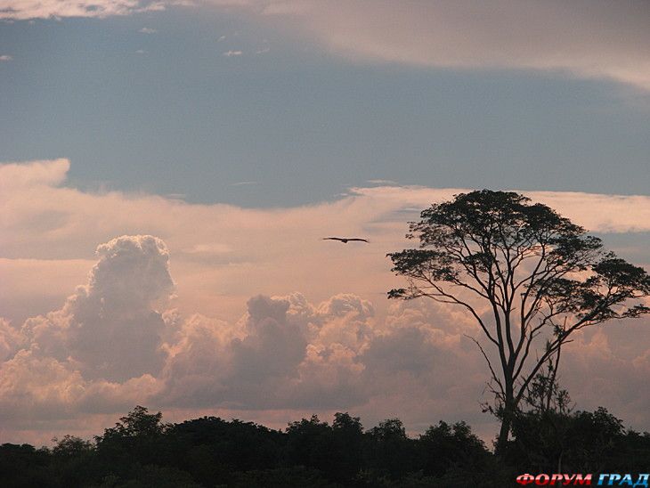 Путешествие с детьми