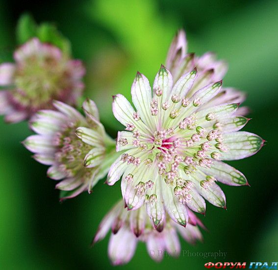 Путешествие с детьми