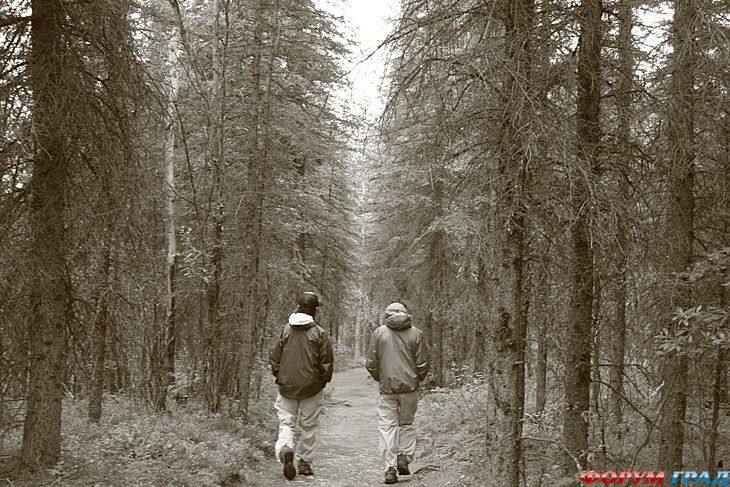 Путешествие с детьми