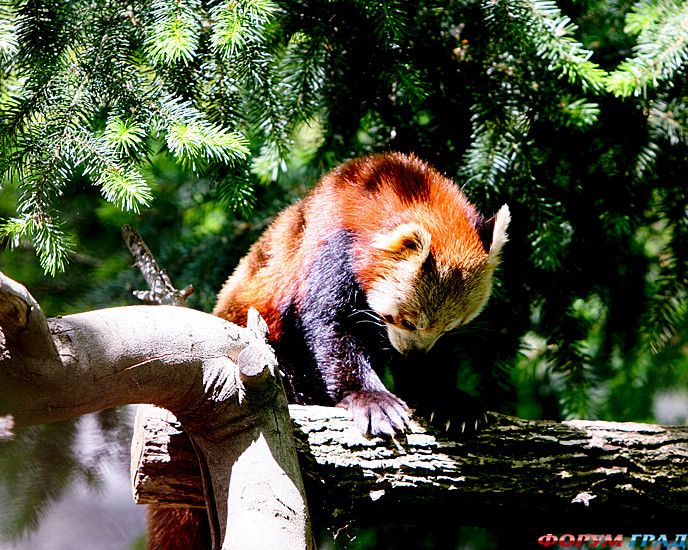 Путешествие с детьми