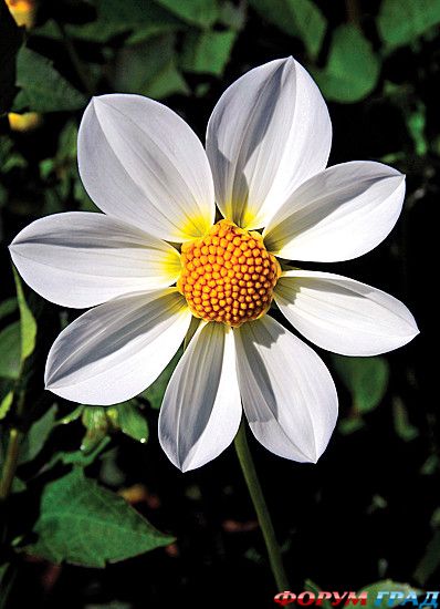 Путешествие с детьми