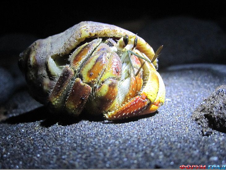 Путешествие с детьми